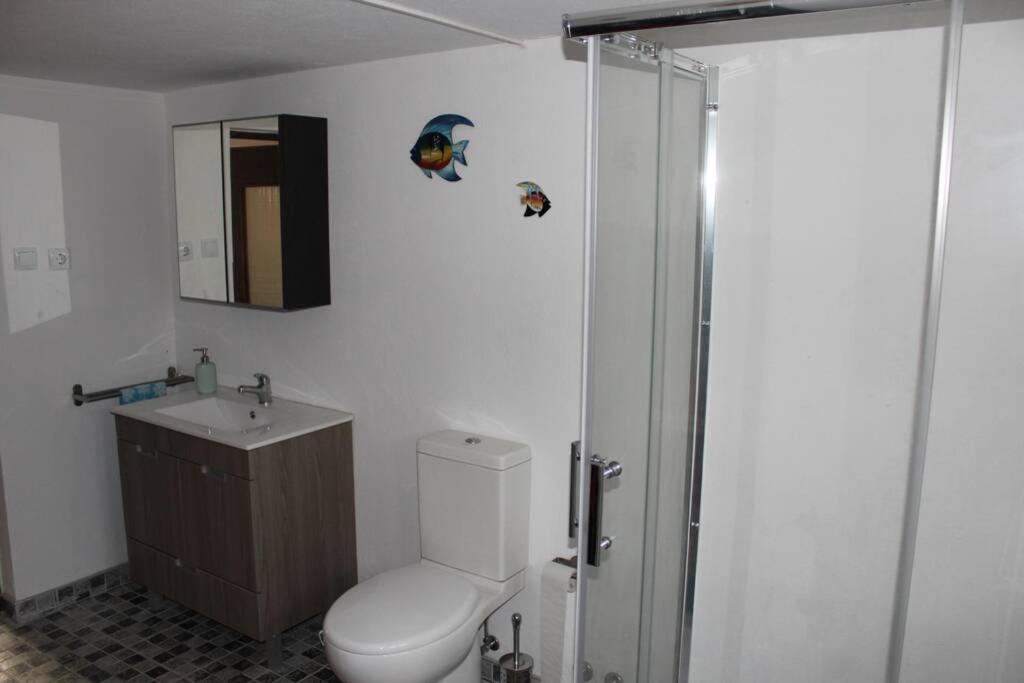 House With Pool And Garden In Esmoriz Near Porto Villa Екстериор снимка