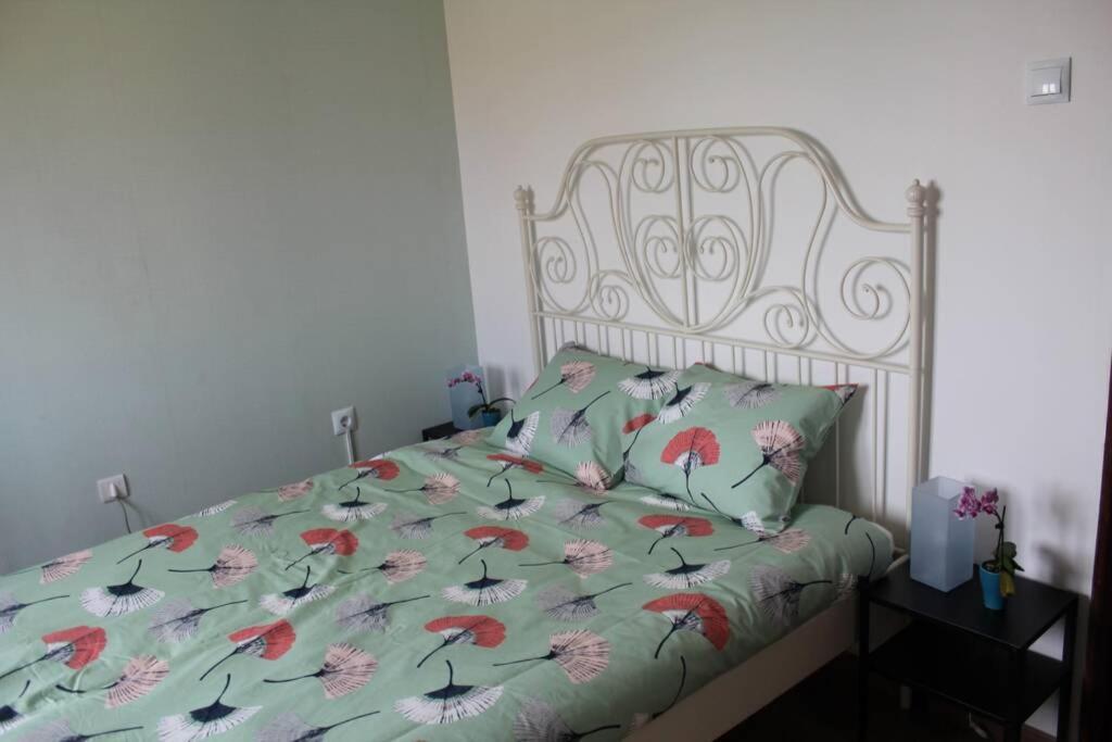 House With Pool And Garden In Esmoriz Near Porto Villa Екстериор снимка