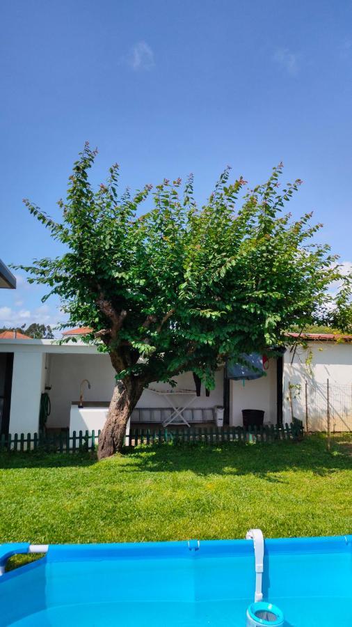 House With Pool And Garden In Esmoriz Near Porto Villa Екстериор снимка